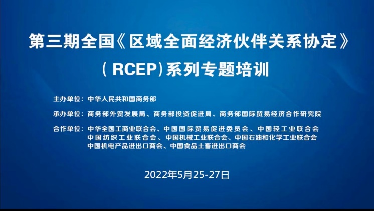 RCEP Online Workshop (2022)